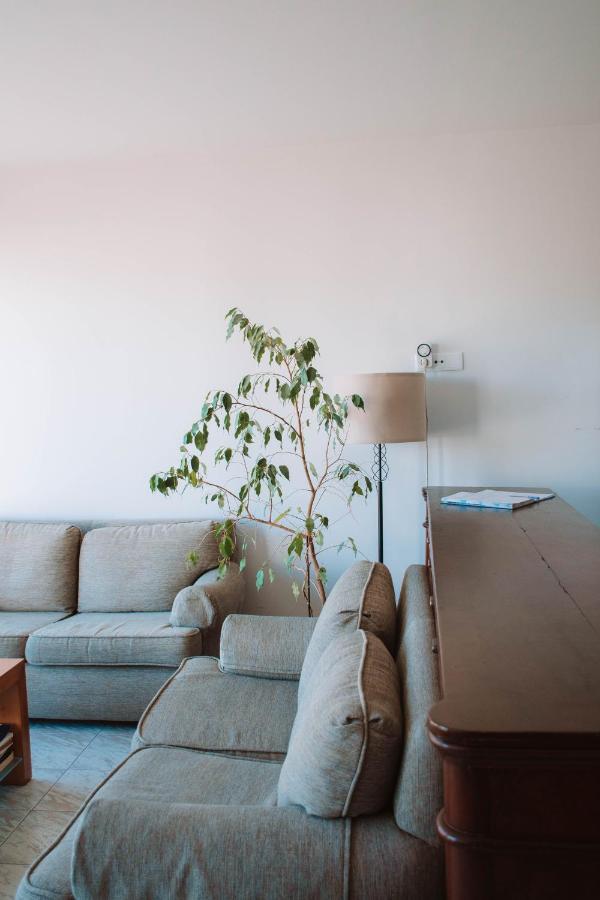 Arca Nova Guest House - קמיניה מראה חיצוני תמונה